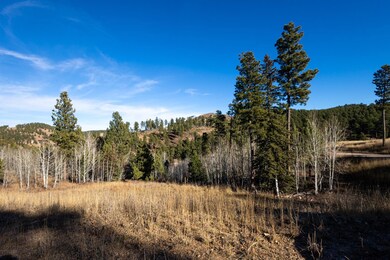 Lots 45 & 46 Golden Hills, Sturgis, SD 57785 - photo 3