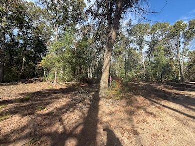 Parcel B W 16th St, Baldwin, MI 49304 - photo 3