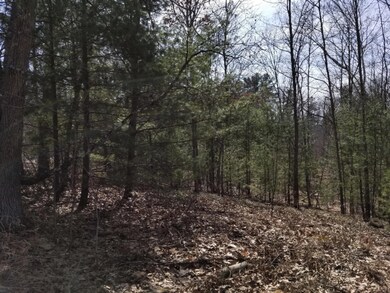 8821 30th Ave, Merrill Township, MI 49309 - photo 7