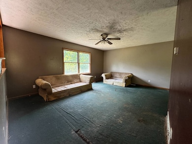 2189 Chub Run Rd, Mount Clare, WV 26408 - photo 3