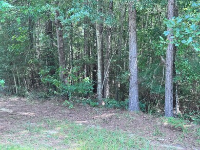 00 Abby Ln, Lumberton, MS 39455 - photo 4