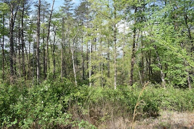 0 Winter Ln unit Lot 7 CAR4280434, Mill Spring, NC 28756 - photo 6