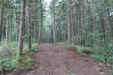 2217 384th St E, Roy, WA 98580 - photo 6