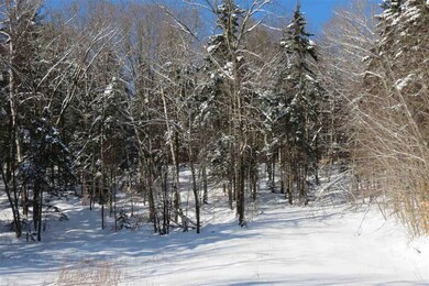 00 Chapman Rd, Ludlow, VT 05149 - photo 5