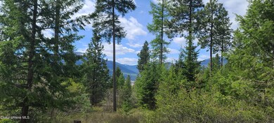 Selkirks to the West