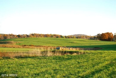 0 Richmond Rd unit 1002957146, Amissville, VA 20106 - photo 4