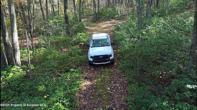 0 Robinson and Fox Rd, South Canaan, PA 18459 - photo 2