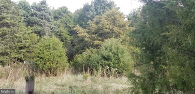 0 Junction Rd unit VASH118694, Strasburg, VA 22657 - photo 6