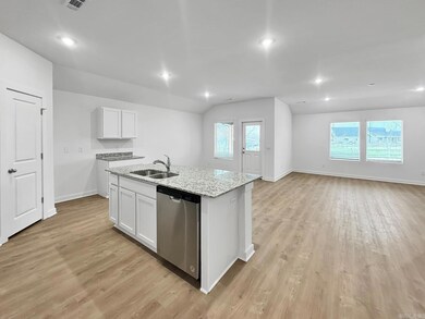 117 E Sunbelt Ct, Mayflower, AR 72106 - photo 5