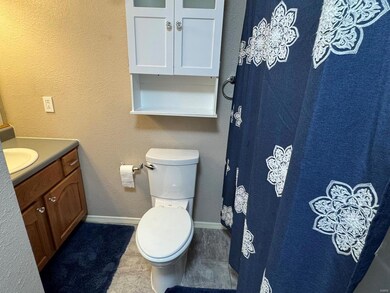 1305 Riley Ln, Dexter, MO 63841 - photo 6