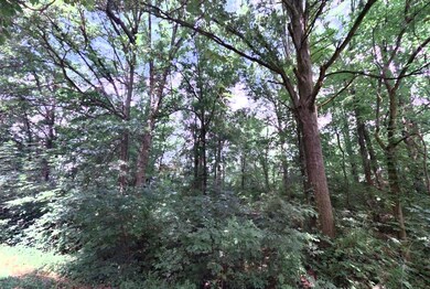 110-002472_2022_001