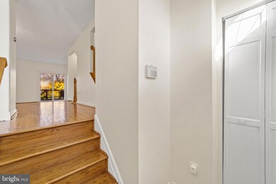 3612 Buckeye Ct, Fairfax, VA 22033 - photo 6