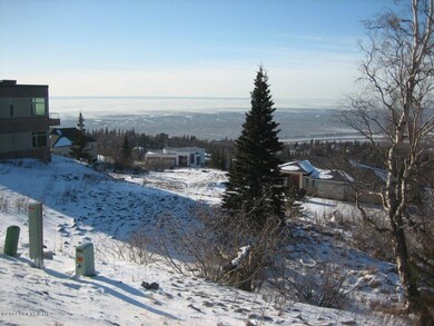 L14 B6 Manorwood Pointe Cir, Anchorage, AK 99516 - photo 4