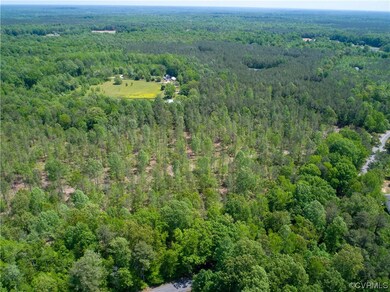 View of bird's eye view