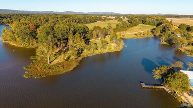 Lot 30 County Road 115, Cedar Bluff, AL 35959 - photo 7
