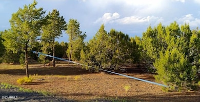 image000006-1