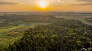 Aerial view at dusk of a view of countryside and agricultural plots