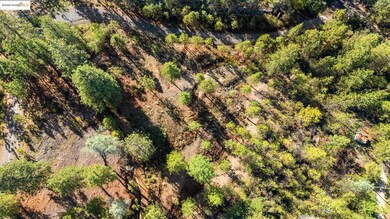 11210 Forest Park Dr, Columbia, CA 95310 - photo 6