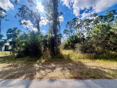 View of local wilderness