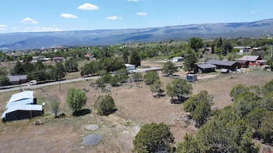 TBD Surface Creek Rd, Cedaredge, CO 81413 - photo 5