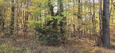 0 Weavers Chapel Rd, Littleton, NC 27850 - photo 3