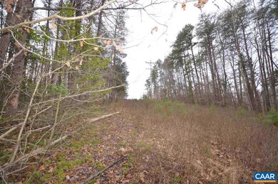 Lot C Lamm Rd, Monroe, VA 22968 - photo 5