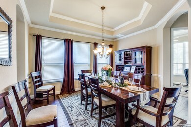 25906 Natal Plum, San Antonio, TX 78261 - photo 3