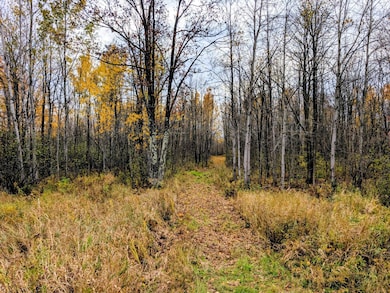 E N 20 School Rd, Glen Flora, WI 54526 - photo 2