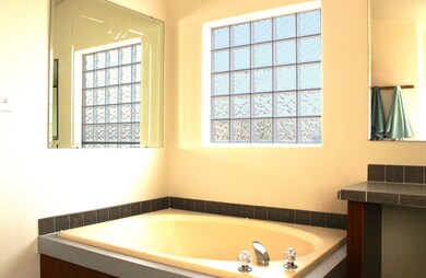 Relaxing Master Tub