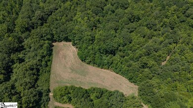 2935 S Carolina 14, Laurens, SC 29360 - photo 6