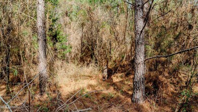 0000 Elijah Graham Rd, Noxapater, MS 39346 - photo 4