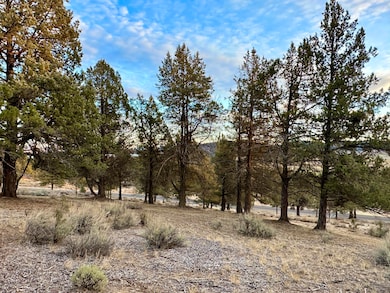 0 Murrelet unit Lot 1192 220174096, Klamath Falls, OR 97601 - photo 7
