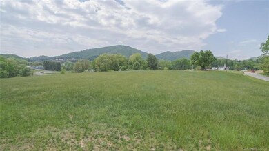 19 Dix Creek Chapel Rd, Asheville, NC 28806 - photo 3