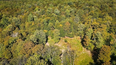 0 Tamblin Ridge Trl Lot unit WP001, Constantia, NY 13028 - photo 4