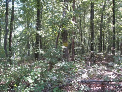 Over 7 seven acres
