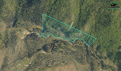 NHN Olympia Creek unit Tract C, Fairbanks, AK 99712 - photo 6