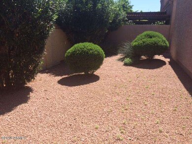 Backyard.jpg