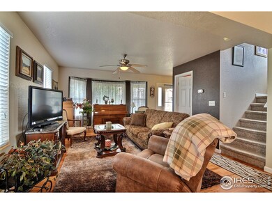 4232 Laurel Dr, Evans, CO 80620 - photo 4