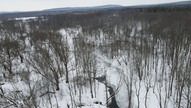 5623 Route 380, Sinclairville, NY 14782 - photo 3