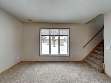 123 4th Ave E, Shakopee, MN 55379 - photo 3