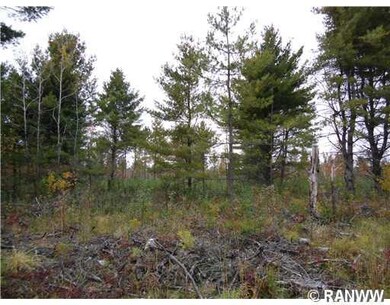 0 Hwy 35 unit 858939, Webster, WI 54893 - photo 3