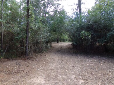 24883 Nightingale Ln, Hockley, TX 77447 - photo 2