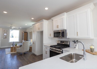 928 Georgia Oak Cove, Oxford, MS 38655 - photo 6