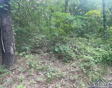 View of tree filled area