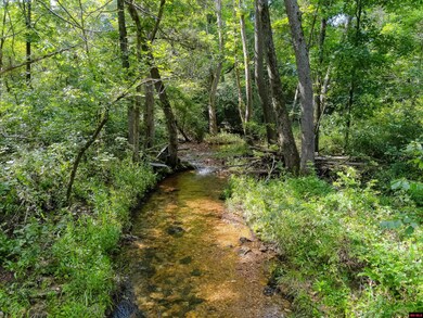 13-0.4-20-000-0 Cr 544, Caulfield, MO 65626 - photo 4