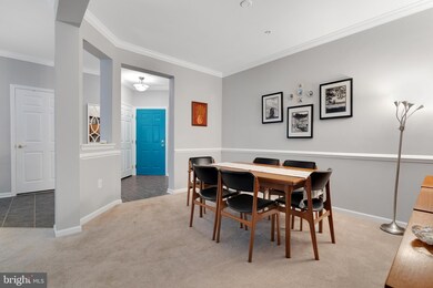 1013 Samantha Ln unit 302, Odenton, MD 21113 - photo 4