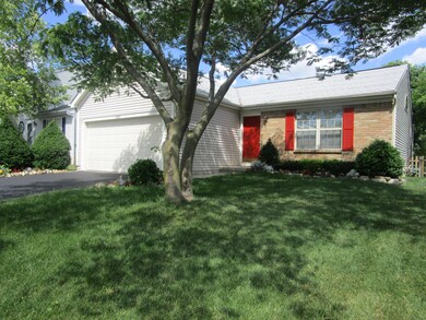 Front Yard