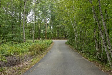 309 Southwest Rd, Canterbury, NH 03224 - photo 5