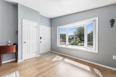 233A6506