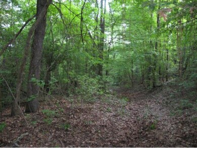 67.44 ac Cr 713, Nacogdoches, TX 75964 - photo 6